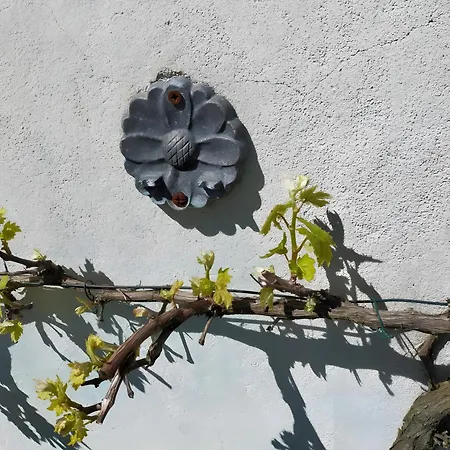 La Maison D'harmonie Casa de Férias *