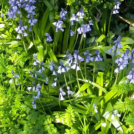 Casa de Férias La Maison D'harmonie Bourgneuf