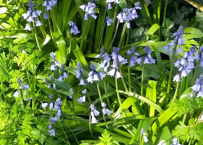 Ferienhaus La Maison D'harmonie Bourgneuf